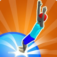 Backflip Dive 3D