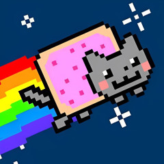 Nyan Cat FLY